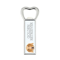A beer bottle opener with a Golden Retriever dog. A new collection with the geometric dog