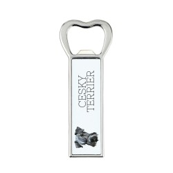 A beer bottle opener with Cesky Terrier dog. A new collection with the geometric dog