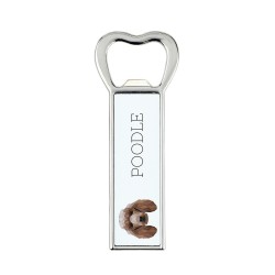 A beer bottle opener with Poodle dog. A new collection with the geometric dog