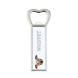 A beer bottle opener with Whippet dog. A new collection with the geometric dog