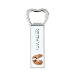 A beer bottle opener with Cavalier King Charles Spaniel dog. A new collection with the geometric dog