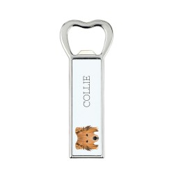 A beer bottle opener with Collie dog. A new collection with the geometric dog