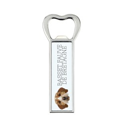 A beer bottle opener with Basset Fauve de Bretagne dog. A new collection with the geometric dog