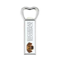 A beer bottle opener with Rhodesian Ridgeback dog. A new collection with the geometric dog