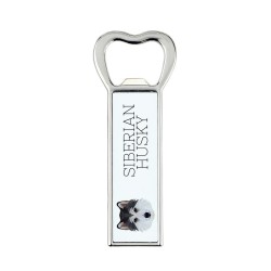 A beer bottle opener with Siberian Husky dog. A new collection with the geometric dog