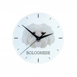 A clock with a Bolognese dog. A new collection with the geometric dog