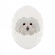 Una lapide in ceramica con un cane Bolognese. Cane geometrico