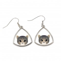 Earrings with a Tabby cat. A new collection with the cute Art-dog cat