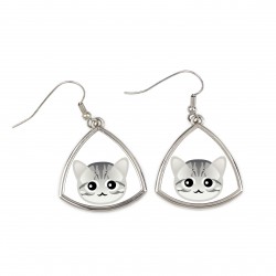 Earrings with a American shorthair. A new collection with the cute Art-dog cat