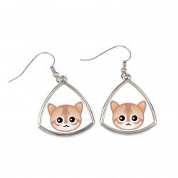 Earrings with a Singapura cat. A new collection with the cute Art-dog cat