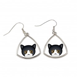 Earrings with a Manx cat. A new collection with the cute Art-dog cat