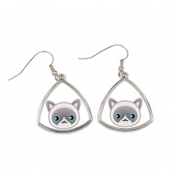 Earrings with a Ragdoll. A new collection with the cute Art-dog cat