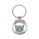 A key pendant with British Shorthair. A new collection with the cute Art-dog cat