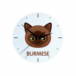 Un orologio con un gatto del Burmese. Una nuova collezione con il simpatico gatto Art-Dog