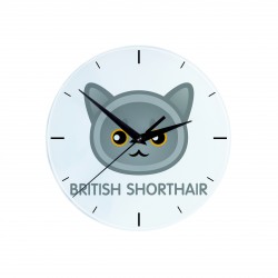 Eine Uhr mit einer British Shorthair. Eine neue Kollektion mit der süßen Art-Dog Katze