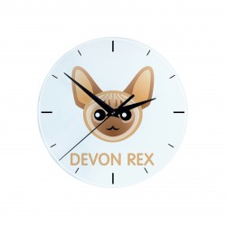 Eine Uhr mit einer Devon rex. Eine neue Kollektion mit der süßen Art-Dog Katze