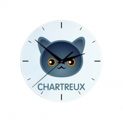 Eine Uhr mit einer Chartreux. Eine neue Kollektion mit der süßen Art-Dog Katze