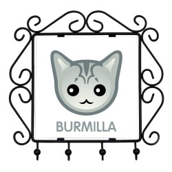 Un estante clave con Burmilla. Una nueva colección con el lindo gato Art-dog