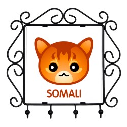 Un estante clave con Somali. Una nueva colección con el lindo gato Art-dog