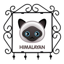 Un estante clave con Gato himalayo. Una nueva colección con el lindo gato Art-dog