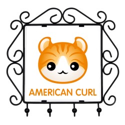 Un estante clave con Curl Americano. Una nueva colección con el lindo gato Art-dog