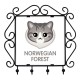 A key rack, hangers with Norwegian Forest cat. A new collection with the cute Art-dog cat