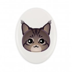 Una lapide in ceramica con un gatto del Maine Coon. Gatto carino Art-Dog