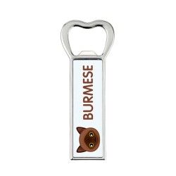 A beer bottle opener with a Burmese cat. A new collection with the cute Art-Dog cat