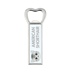 A beer bottle opener with a American shorthair. A new collection with the cute Art-Dog cat