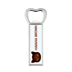 A beer bottle opener with a Havana Brown. A new collection with the cute Art-Dog cat